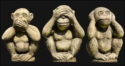 Tu pr&eacute;f&eacute;rerais &ecirc;tre :