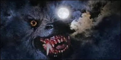 Mon premier t'appartient, mon second est du genre têtu, mon troisième fait partie des habitudes, mon tout est un tas !