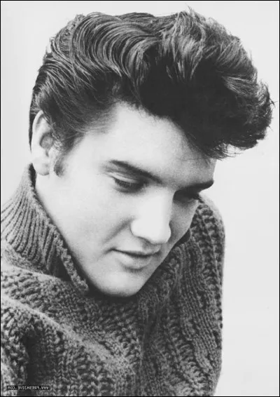 Quel a été le premier job d'Elvis Presley avant de faire carrière dans la musique ?