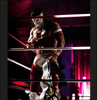 T'intéresses-tu aux matchs de catch ?