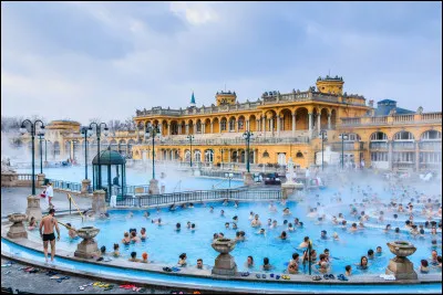 Quel fleuve traverse Lyon ?