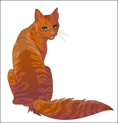 Comment s'appelait &Eacute;toile de Feu quand il &eacute;tait encore un chat domestique ?