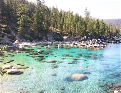 Préfères-tu sauver un petit chaton de la noyade ou sauver le téléphone qui vient de sortir, de la noyade ?