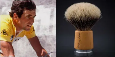 Quelle image est la plus appropriée pour ces deux images  ?