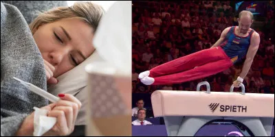 Quelle image est la plus appropriée pour ces deux images  ?