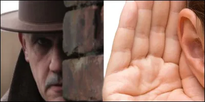 Quelle image est la plus appropriée pour ces deux images  ?