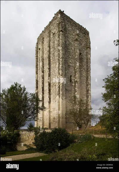 Des démons dans la ville natale de Théophraste Renaudot : des empoisonneuses ! On y décerne le prix littéraire des lycéens chaque année.
Quelle est cette ville du nord de la Vienne ?