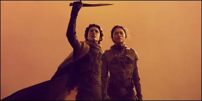 Quand Paul a-t-il vu pour la première fois Chani ?