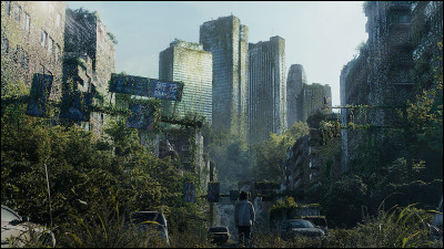 Où vivait Alice avant Borderland ?