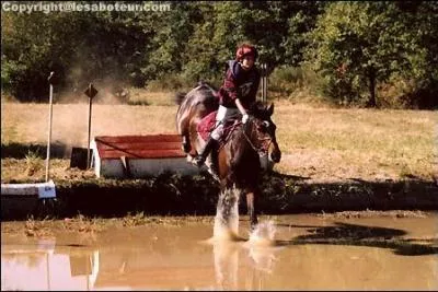 Comment s'appelle cette discipline ?