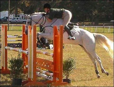 Quel est le nom de cet obstacle ?