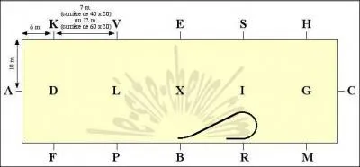 Quel est le nom de cette figure de dressage ?