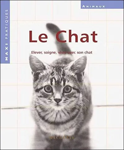 "Le CHAt" est le titre d'une chanson interprétée par le groupe ...