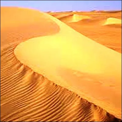 Quel désert, le troisième plus grand du monde, comprend une partie centrale appelée Ténéré ?