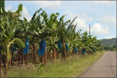 Qu'est-ce qui est empoisonnée pour Roland Dorgelès, en 1967 ?