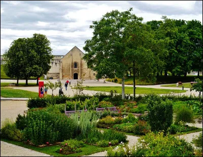 En 2024, Dominique Fernandez nous a donné, "un Jeune homme..."
