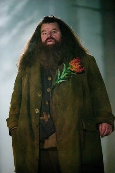 Qui interprète Rubeus Hagrid ?