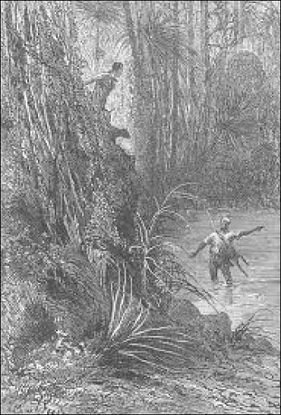 Le roman ''Aventures de trois Russes et de trois Anglais dans l'Afrique australe'' a été écrit par Jules Verne.