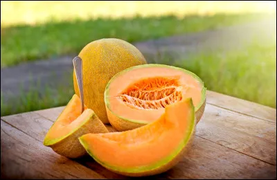 Quel pays est le plus gros producteur de melons au monde ?
