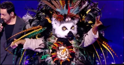 Qui se cachait sous le lémurien ?