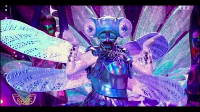 Qui se cachait sous la libellule ?