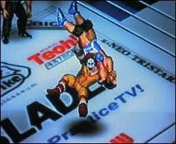 Quelle est la technique utilise par ce catcheur dans ce jeu ?