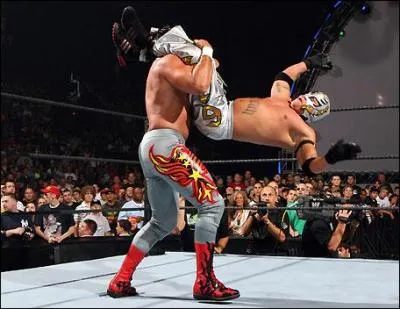 Comment s'appelle la technique que Rey Mysterio utilise sur cette image ?