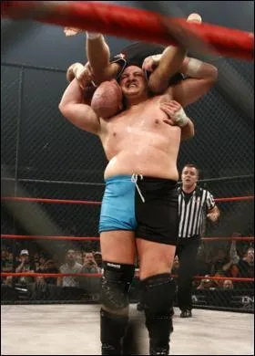 Quel est le nom de la technique utilise sur l'image ?