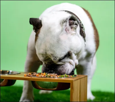 Tu pr&eacute;f&egrave;res manger...