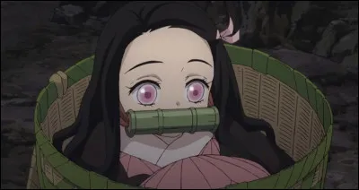 Tu vois Nezuko pour la première fois, quelle est ta réaction ?