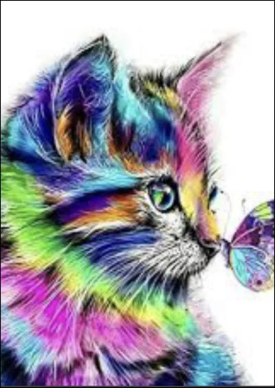 Quelle est ta couleur de pelage préférée ?