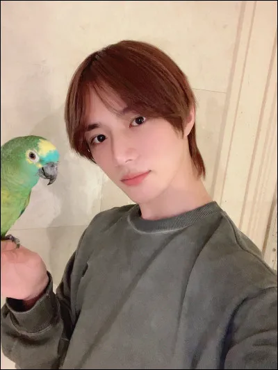 Beomgyu a un perroquet, quel est son nom ?