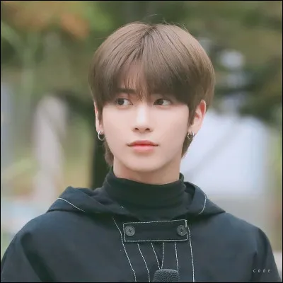 Quel est le prénom américain de Taehyun ?