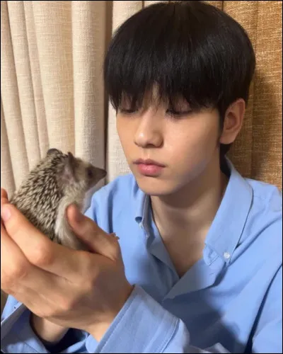 Soo-bin a un hérisson, quel est son nom ?