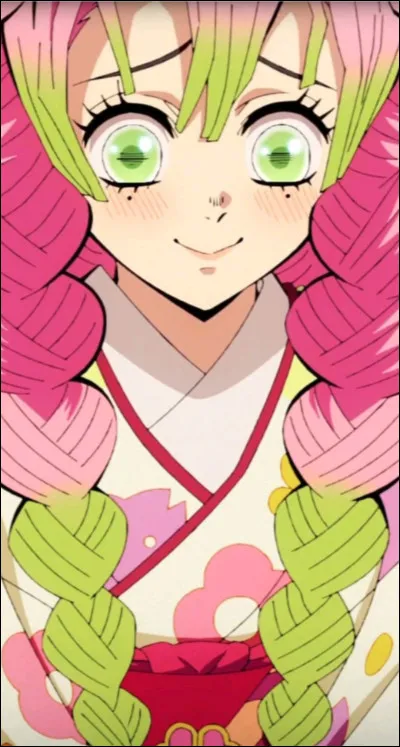 Qui des deux a un haori qui était autrefois assorti à celui de Rengoku avant qu'il ne porte celui avec des flammes ?