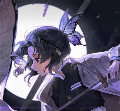 Qui utilise un sabre très souple ?