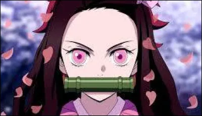 Qui est-ce ? (Niveau facile)