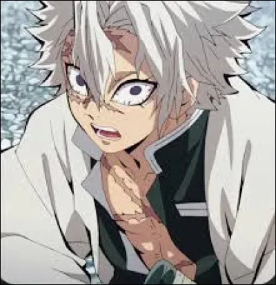 Qui est-ce ? (Niveau moyen)