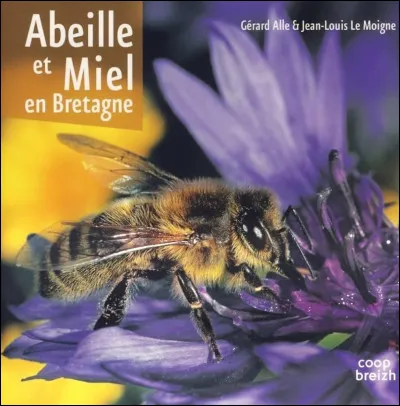 En général, la plupart des abeilles d'une ruche ont la même mère. Comment appelle-t-on celle-ci ?