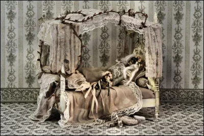 Le roi se souvint de la prédiction ; où fit-il installer la princesse ?