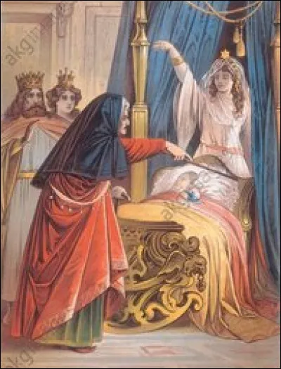 Que dit l'invitée malfaisante ?