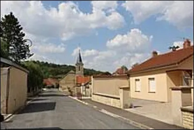 Je vous emmène maintenant à Buxières-lès-Villiers. Village Haut-Marnais, il se situe en région ...