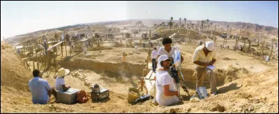 Il fait actuellement 45&deg;C &agrave; l'ombre, le plus important est de...