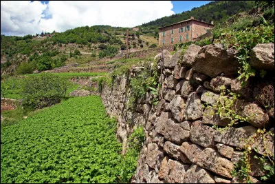 "Ne pleure pas Jeannette, nous te marierons..."
Si elle ne veut pas du fils d'un prince, de qui veut-elle ?
