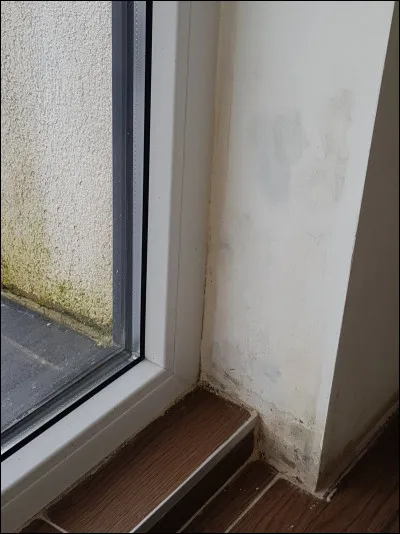 T'es-tu déjà cogné(e) contre une baie vitrée ?