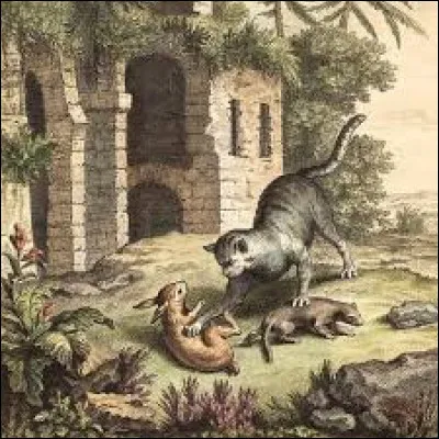 Le Chat, la  et le Petit Lapin.