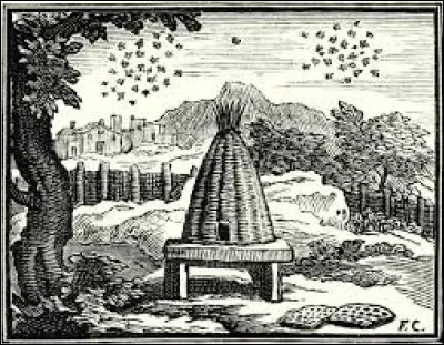 Les  et les Mouches à miel.