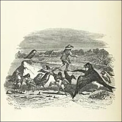 L' et les Petits Oiseaux.