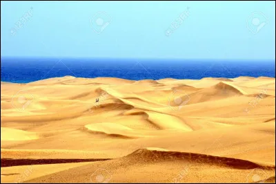 Quel est le plus grand désert du monde ?