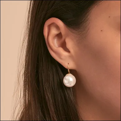 Si je vous raconte la rencontre entre une large oreille et des cheveux roux, nous sommes dans les pages d'un livre de.... ?